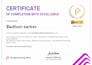 develop responsive ecommerce website with payment integration